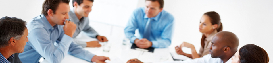 Tara Powder, Tara Gum Tara Powder, Tara Gum